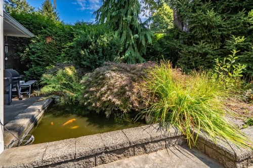 9194 Wright Street, Langley, BC - Outdoor