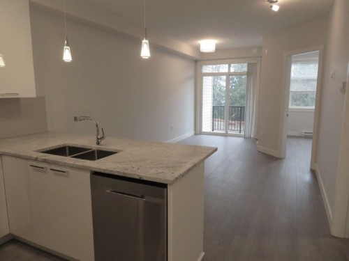 209-19940 Brydon Crescent, Langley, BC - Indoor Photo Showing Kitchen With Double Sink