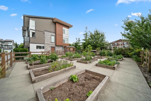 50-8430 203A Street, Langley, BC - Outdoor