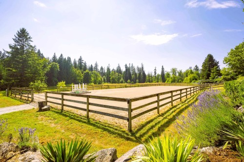 9837 Mckinnon Crescent, Langley, BC - Outdoor
