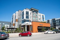 505-19911 76 Avenue Langley, BC V2Y 4M4