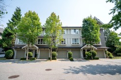 43-6747 203rd Street Langley, BC V2Y 3B5
