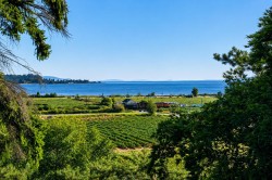 5242 Station Road Surrey, BC V3X 3C4
