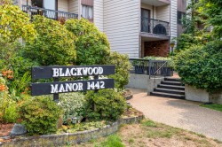 306-1442 Blackwood Street  White Rock, BC V4B 3V5