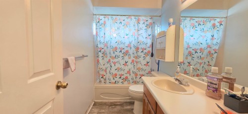 14919 Spenser Drive, Surrey, BC - Indoor Photo Showing Bathroom