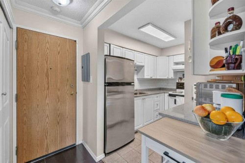 101-10560 154 Street, Surrey, BC - Indoor Photo Showing Kitchen