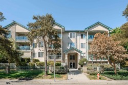 408-20443 53 Avenue Langley, BC V3A 7A6