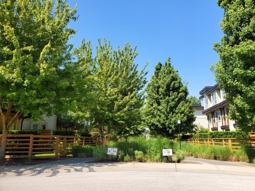 61-19477 72A Avenue, Surrey, BC - Outdoor