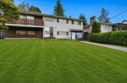 9892 130 Street Surrey, BC V3T 3L4