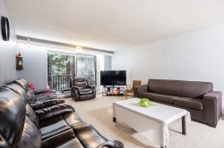 209-15238 100 Avenue Surrey, BC V3R 7T9