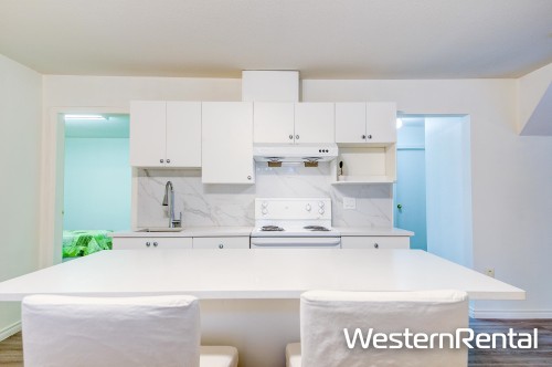 Bsmt-11028 162a Street , Surrey, BC V4N 4S8 2