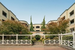 203-1725 128 Street Surrey, BC V4A 3V2