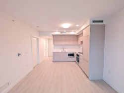 16XX-13675 107a Ave Surrey, BC V3T 2H2