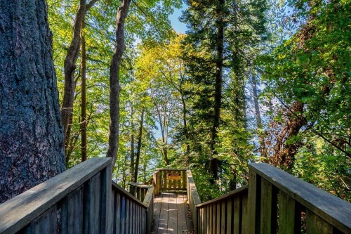 2360 Christopherson Road, Surrey, BC - Outdoor