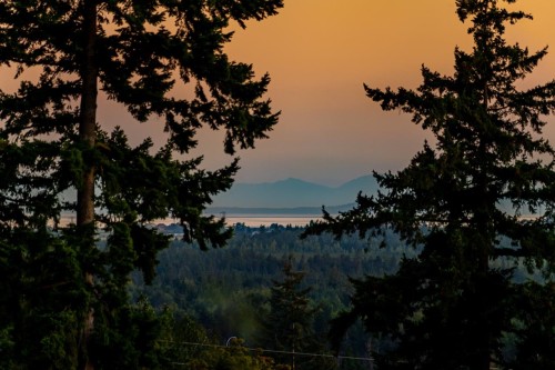 8117 Wiltshire Boulevard, Delta, BC - Outdoor With View