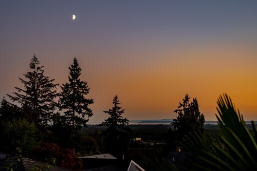 8117 Wiltshire Boulevard, Delta, BC - Outdoor With View