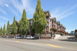 441-5660 201a Street  Langley, BC V3A 0B4