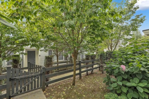8-10433 158 Street, Surrey, BC - Outdoor