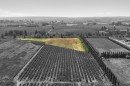2.891Ac 56 Avenue, Surrey, BC 