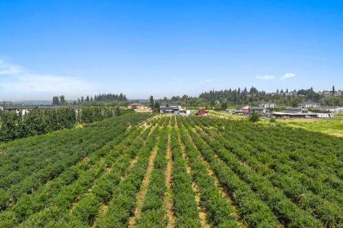 16212 56 Avenue, Surrey, BC - Outdoor With View