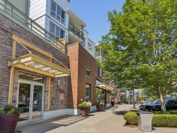 215-15735 Croydon Drive Surrey, BC V3Z 2L5