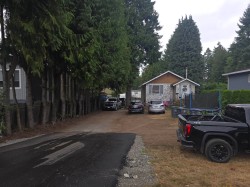 11831 96 Avenue Surrey, BC V3V 1W1