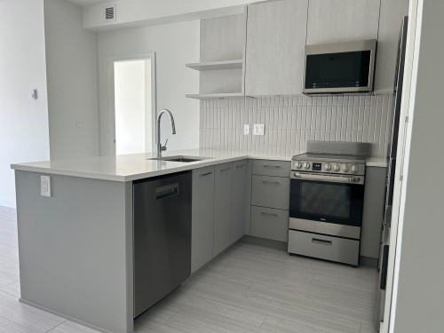 113-2425 166 Street, Surrey, BC - Indoor Photo Showing Kitchen With Upgraded Kitchen