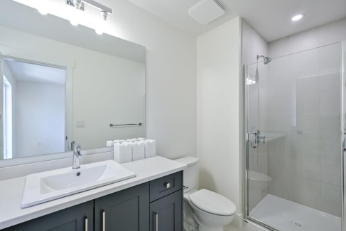 10113 Elderberry Crescent, Surrey, BC - Indoor Photo Showing Bathroom