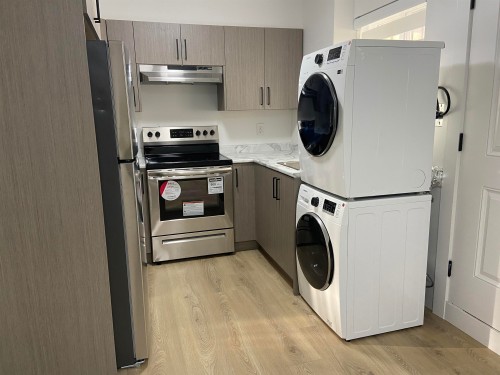 Basement Suite-16700 20a Avenue , Surrey, BC V3Z 1H1 4