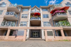 202-12101 80 Avenue Surrey, BC V3W 5V6