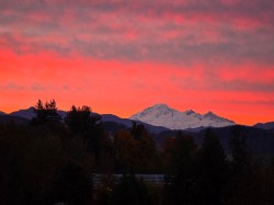 7934 Topper Drive  Mission, BC V2V 6Z3