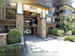 405-8561 203a Street  Langley, BC V2Y 3L7