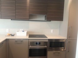 3F-13725 George Junction  Surrey, BC V3T 0V7