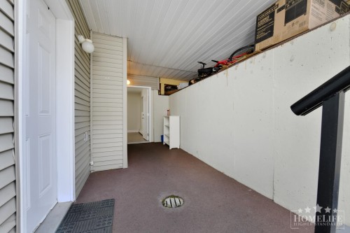 Basement-7909 147a Street , Surrey, BC V3S 2T8 3
