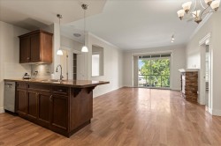 302-33338 Mayfair Avenue Abbotsford, BC V2S 0A4