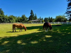 25177 64 Avenue Langley, BC V4W 1H5