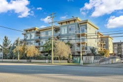 209-19936 56 Avenue Langley, BC V3A 3X9