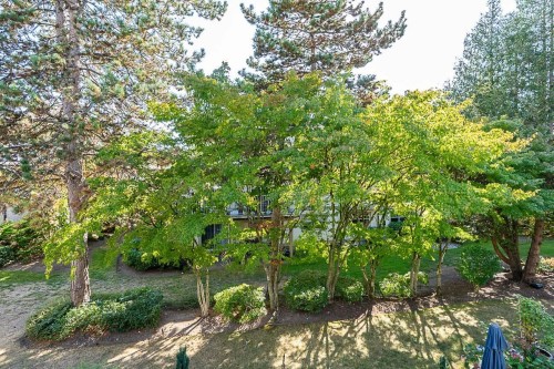 231-20391 96 Avenue, Surrey, BC 