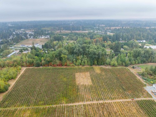 24183 Fraser Highway, Langley, BC 