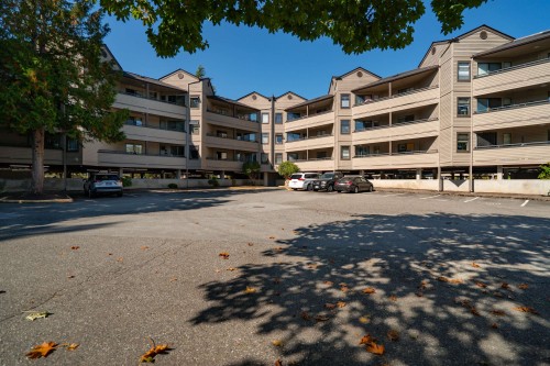 214-5224 204 Street, Langley, BC 
