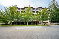 209-15388 105 Avenue  Surrey, BC V3R 0C4