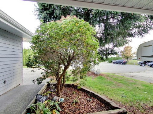 14523 89 Avenue, Surrey, BC 