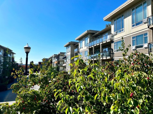 C202-20211 66 Avenue, Langley, BC 