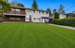 9892 130 Street Surrey, BC V3T 3L4