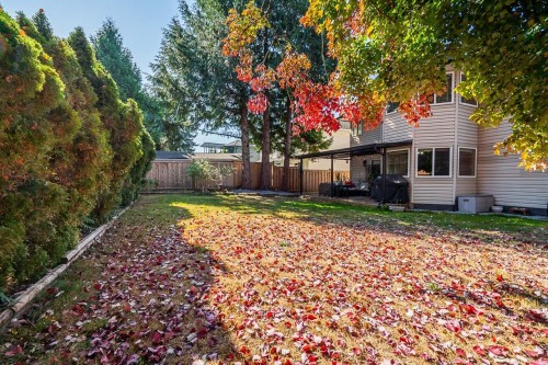 9290 203B Street, Langley, BC 