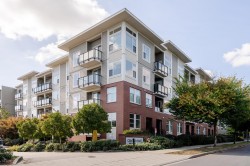 429-15956 86a Avenue Surrey, BC V4N 6N8