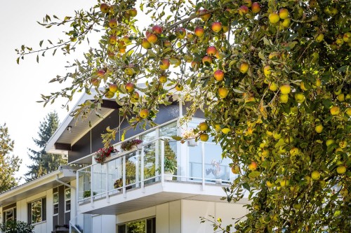 11906 100 Avenue, Surrey, BC 