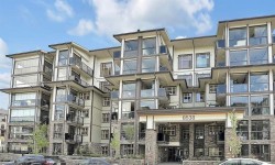 606-8538 203a Street Langley, BC V2Y 3P9