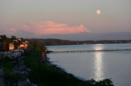 14501 Marine Drive, White Rock, BC 
