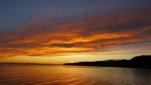 14501 Marine Drive, White Rock, BC 